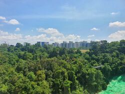 Blk 85 Telok Blangah Heights (Bukit Merah), HDB 5 Rooms #618879371